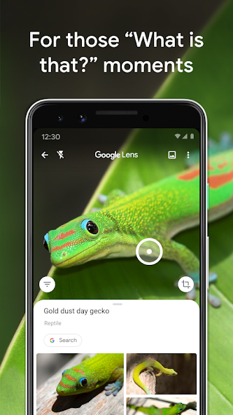 Google Lens screenshot 8