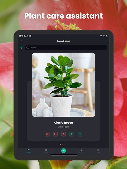 PlantIn Plant Identifier, Care screenshot 2