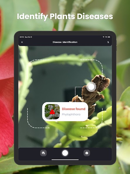 PlantIn Plant Identifier, Care screenshot 3
