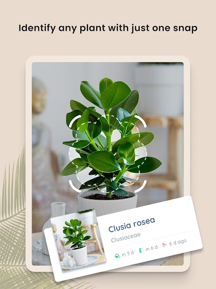 PlantIn Plant Identifier, Care screenshot 9