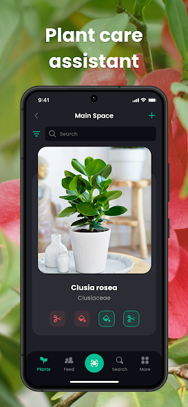 PlantIn Plant Identifier, Care screenshot 12