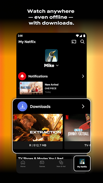 Netflix screenshot 5