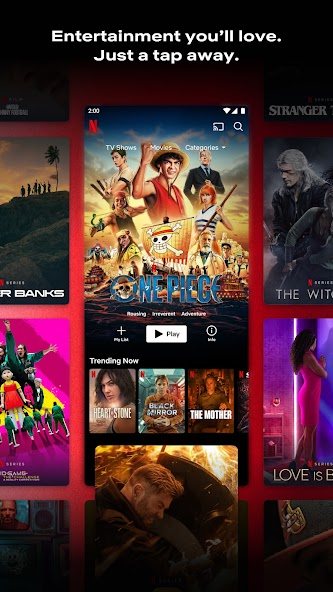 Netflix screenshot 10
