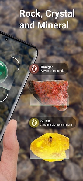 Rock Identifier: Stone ID screenshot 10