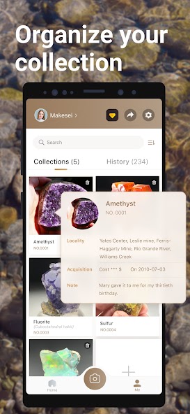 Rock Identifier: Stone ID screenshot 11