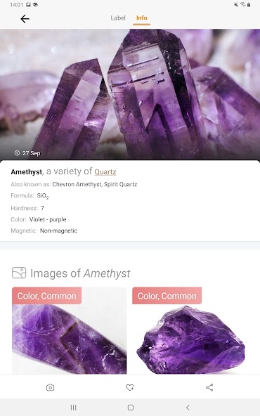 Rock Identifier: Stone ID screenshot 16