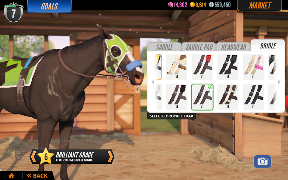 Rival Stars Horse Racing screenshot 13