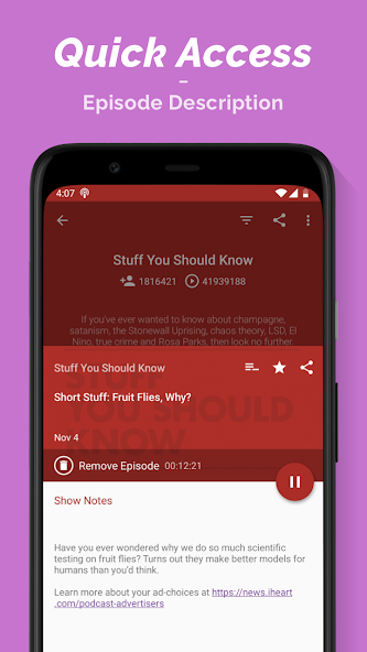 Podcast Player screenshot 17