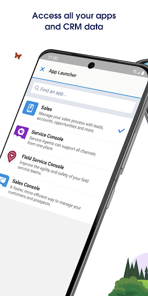 Salesforce screenshot 4