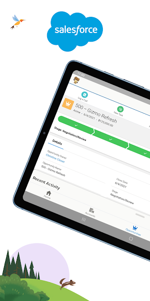 Salesforce screenshot 6