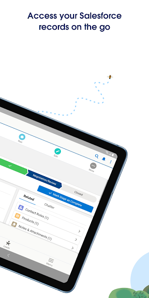 Salesforce screenshot 7