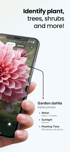 Plant App - Plant Identifier screenshot 2