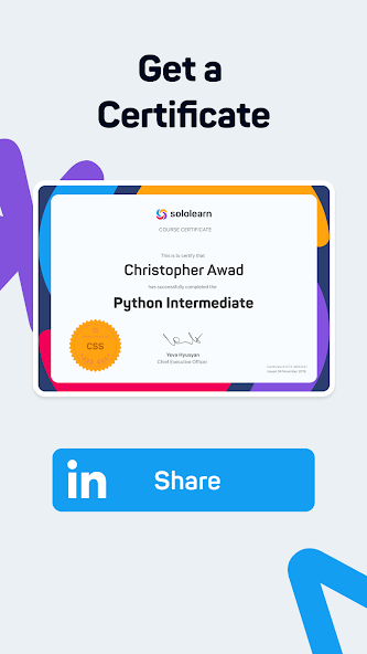 Sololearn: Learn to code screenshot 13