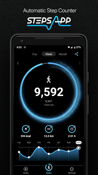 StepsApp – Step Counter screenshot 1
