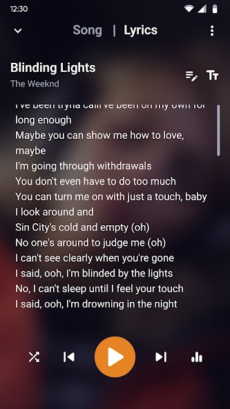 Music Player - MP3 Player screenshot 19