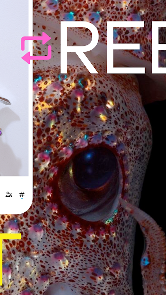 Tumblr—Fandom, Art, Chaos screenshot 9