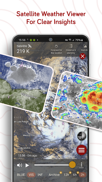 Windy.com - Weather Forecast screenshot 14