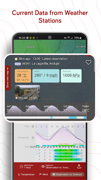 Windy.com - Weather Forecast screenshot 17