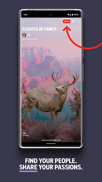 Flipboard:Your Social Magazine screenshot 11