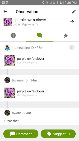 iNaturalist screenshot 4