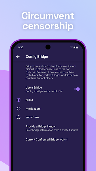Tor Browser screenshot 2