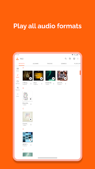VLC for Android screenshot 2