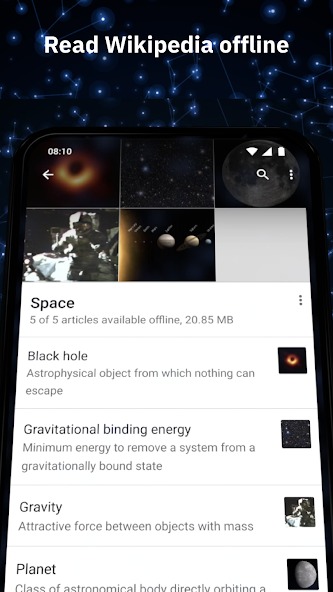 Wikipedia screenshot 3