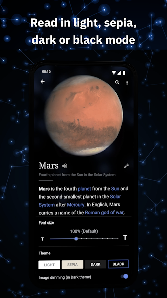 Wikipedia screenshot 4