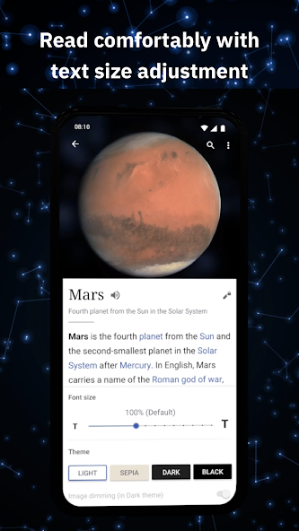 Wikipedia screenshot 5