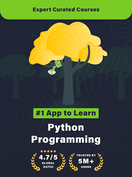 Learn Python screenshot 24