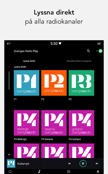 Sveriges Radio Play screenshot 6